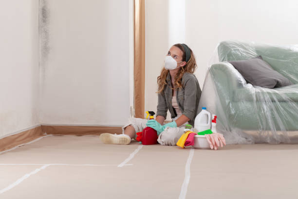 Reliable Mold Remediation contractor in Merritt Island, FL by 24 Hour Mold Removal